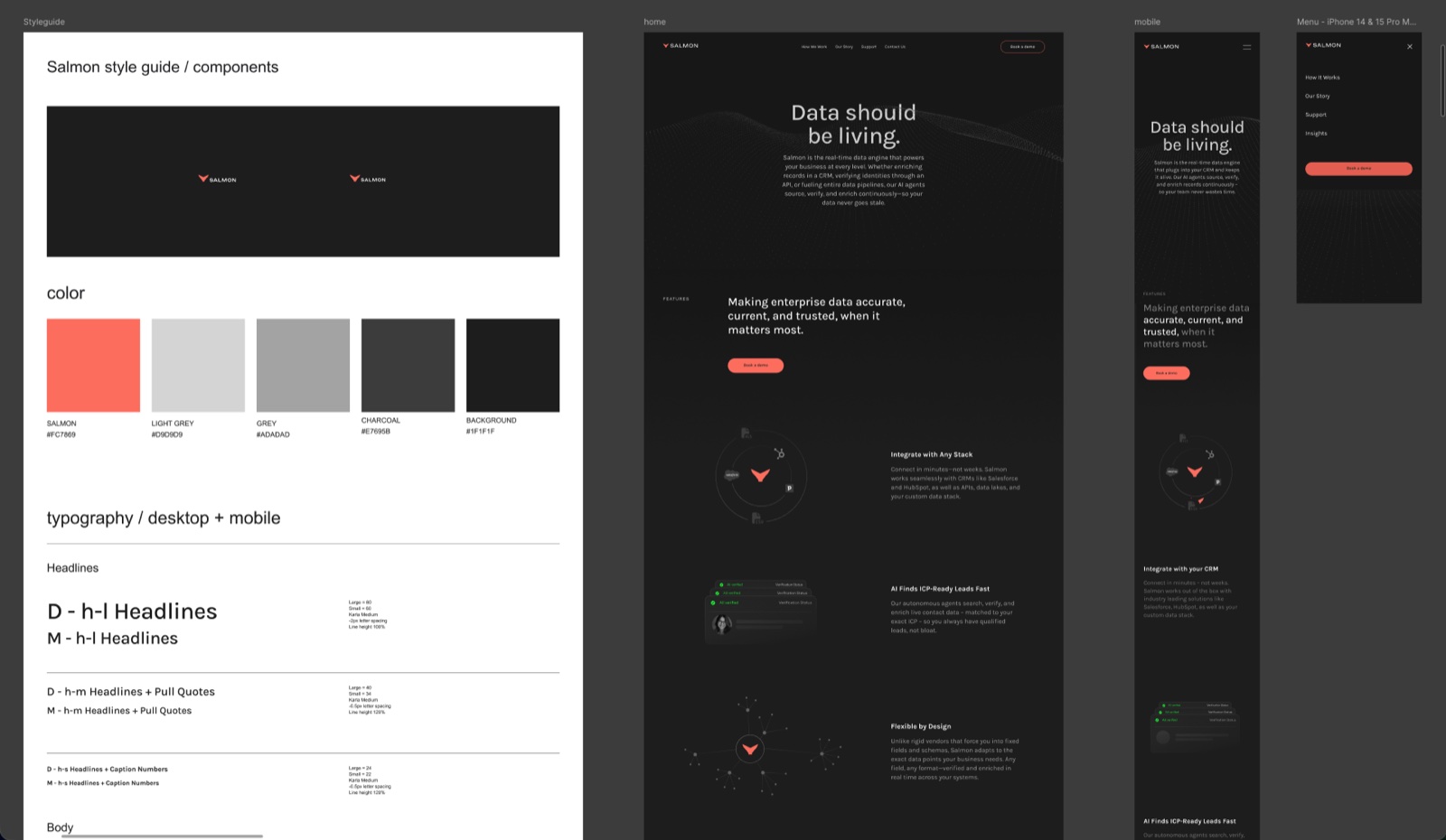 Salmon visual style guide